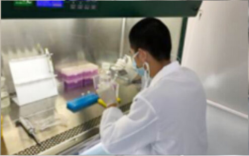 Researcher working inside a biosafety cabinet