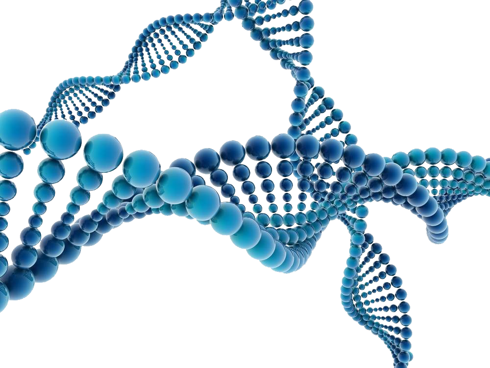 Stylised blue DNA double helix on white